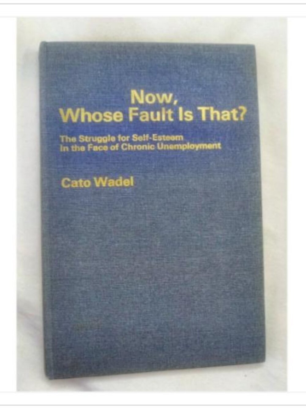 Now, Whose Fault Is That? The Struggle for Self-Esteem In Newfoundland 1973 HC